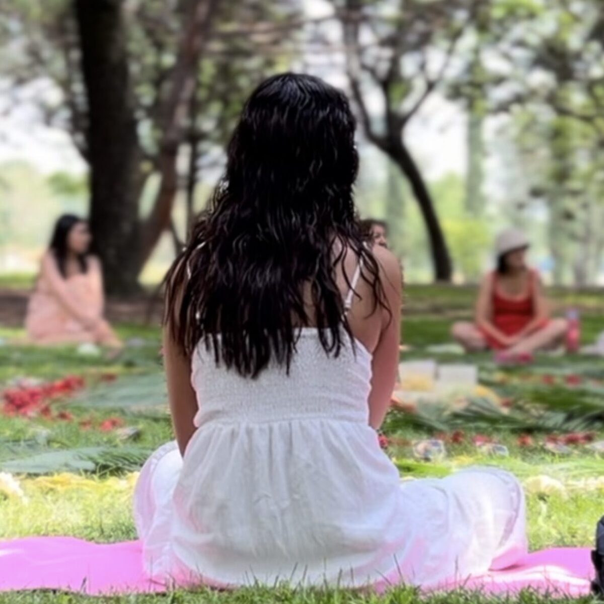 481769561_607077162144947_1143510374735898237_n